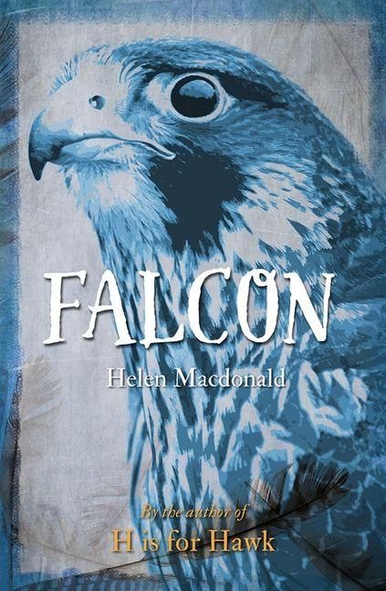 Produktbild: Falcon