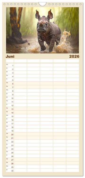 Produktbild: Familienplaner 2026 - Tierkinder beim Baden mit 5 Spalten (Wandkalender, 21 x 45 cm) CALVENDO