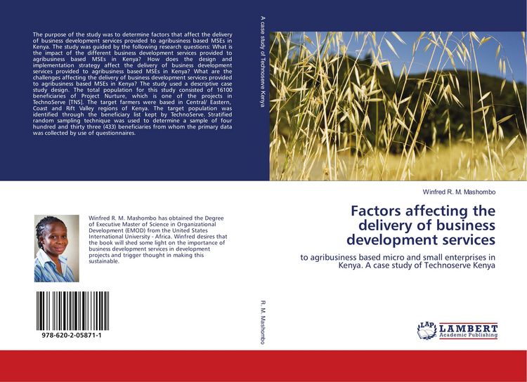 Produktbild: Factors affecting the delivery of business development services