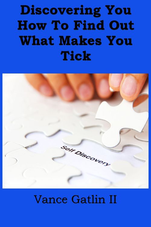 Produktbild: Discovering You: How to Find Out What Makes You Tick