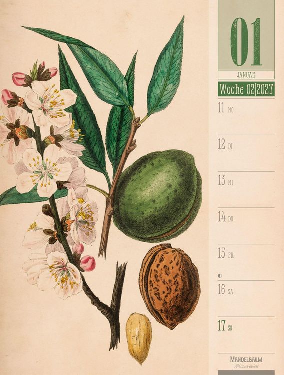 Produktbild: Culinarium Wochenplaner Kalender 2027 | K&uuml;che, Kr&auml;uter, Kurioses