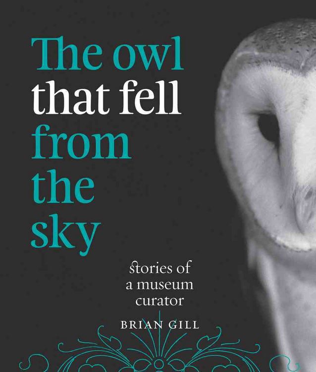 Produktbild: The Owl That Fell from the Sky