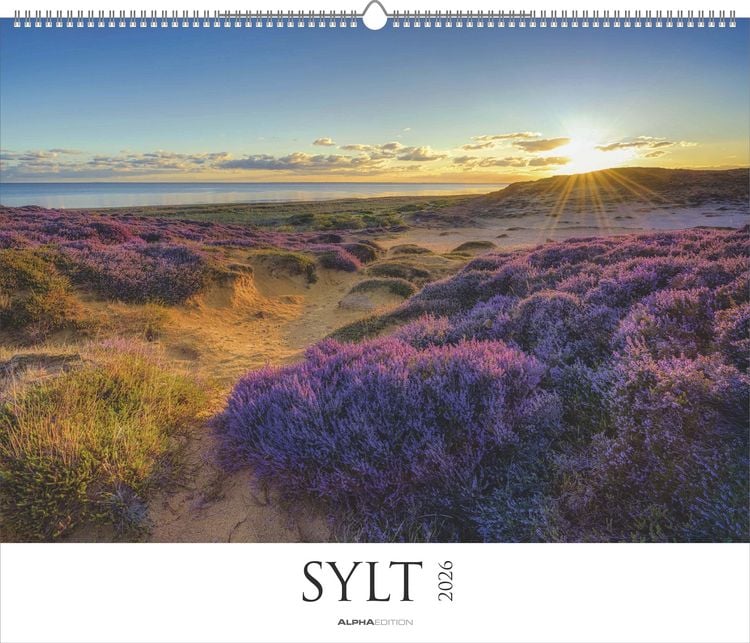 Bild vom Artikel Sylt 2026 - Bildkalender XXL 60x50 cm - hochwertiger Wandkalender im Querformat - Landschaftskalender - Wandplaner - Deutsche Küsten vom Autor Alpha Edition