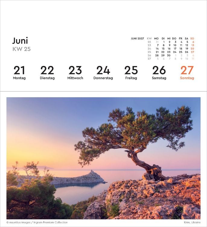 Produktbild: Alte B&auml;ume - KUNTH Postkartenkalender 2027