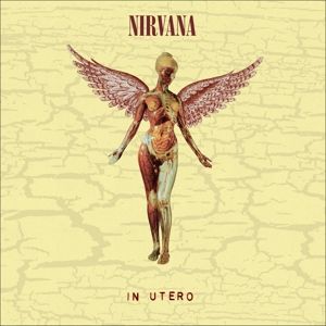 Produktbild: In Utero (Ltd. Super Deluxe,8LP)