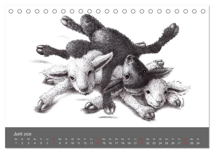 Produktbild: TIERONISCH (Tischkalender 2026 DIN A5 quer), CALVENDO Monatskalender