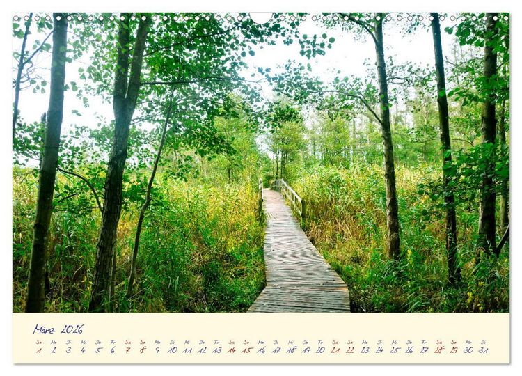 Produktbild: OSTSEEGL&Uuml;CK - Gl&uuml;cksmomente auf dem Dar&szlig; (Wandkalender 2026 DIN A3 quer), CALVENDO Monatskalender