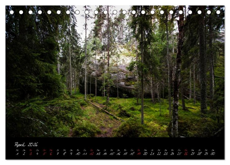 Produktbild: Wald (Tischkalender 2026 DIN A5 quer), CALVENDO Monatskalender