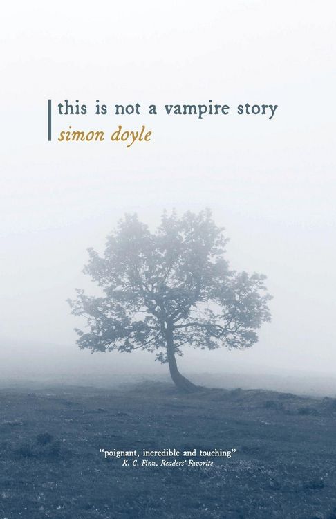 Produktbild: This is Not a Vampire Story