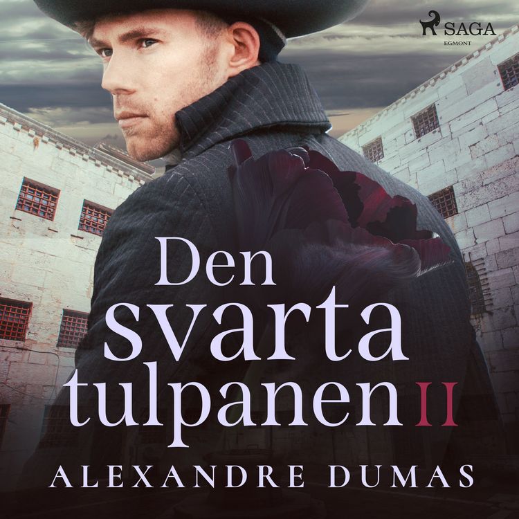 Produktbild: Den svarta tulpanen II