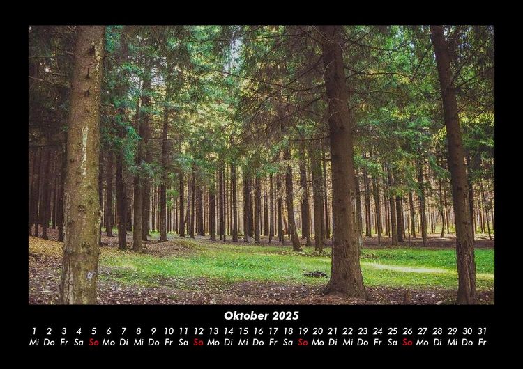 Produktbild: B&auml;ume 2025 Fotokalender DIN A3