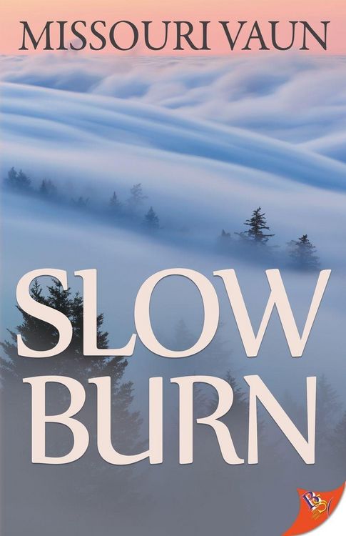 Produktbild: Slow Burn