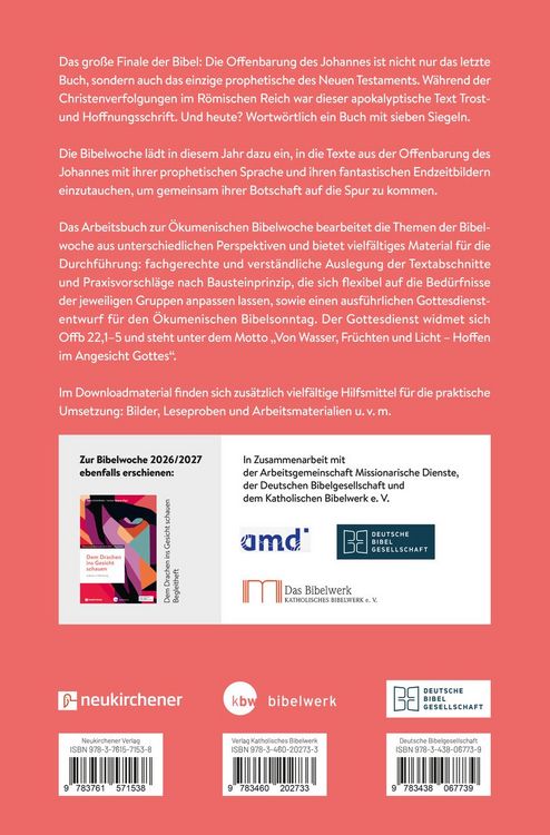 Produktbild: Dem Drachen ins Gesicht schauen