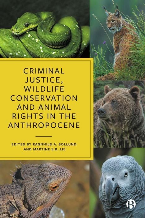 Produktbild: Criminal Justice, Wildlife Conservation and Animal Rights in the Anthropocene