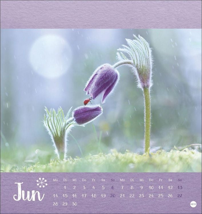 Produktbild: Vadim Trunov: M&auml;rchenhaftes Waldleben Postkartenkalender 2027