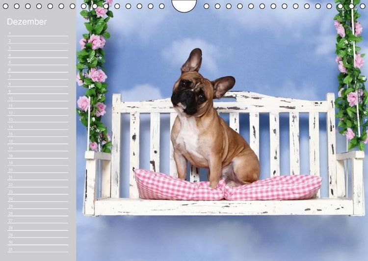 Produktbild: Der Bully-Geburtstagskalender - nie wieder einen Geburtstag "verschlafen"... (Wandkalender immerw&auml;hrend DIN A4 quer)