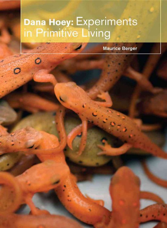 Produktbild: Dana Hoey: Experiments in Primitive Living