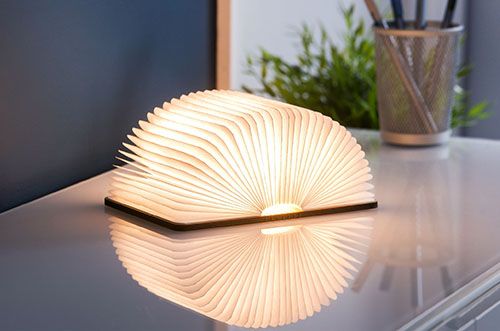 Produktbild: BOOKLIGHT Mini Walnuss