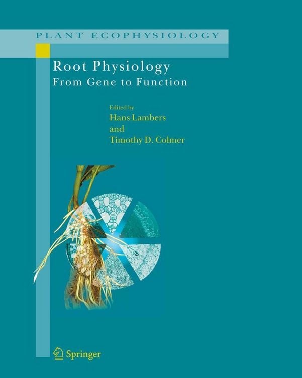Produktbild: Root Physiology: from Gene to Function