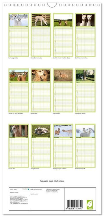 Produktbild: Familienplaner 2026 - Alpakas zum Verlieben mit 5 Spalten (Wandkalender, 21 x 45 cm) CALVENDO