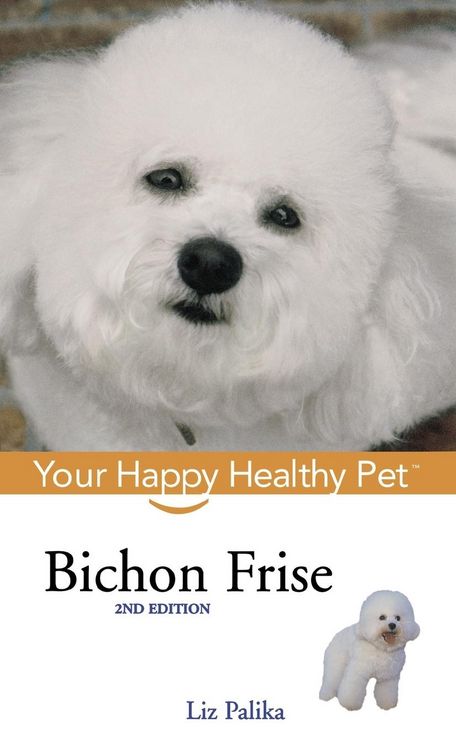 Produktbild: Bichon Frise