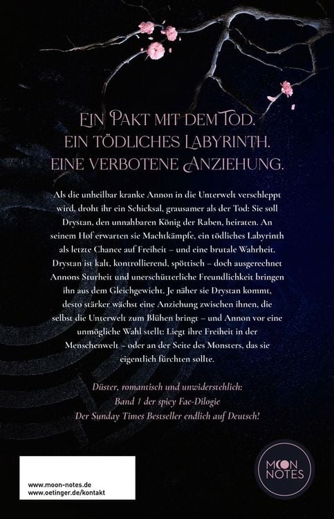 Produktbild: Upon a Broken Throne 1. King of Ravens mit exklusivem Wendecover