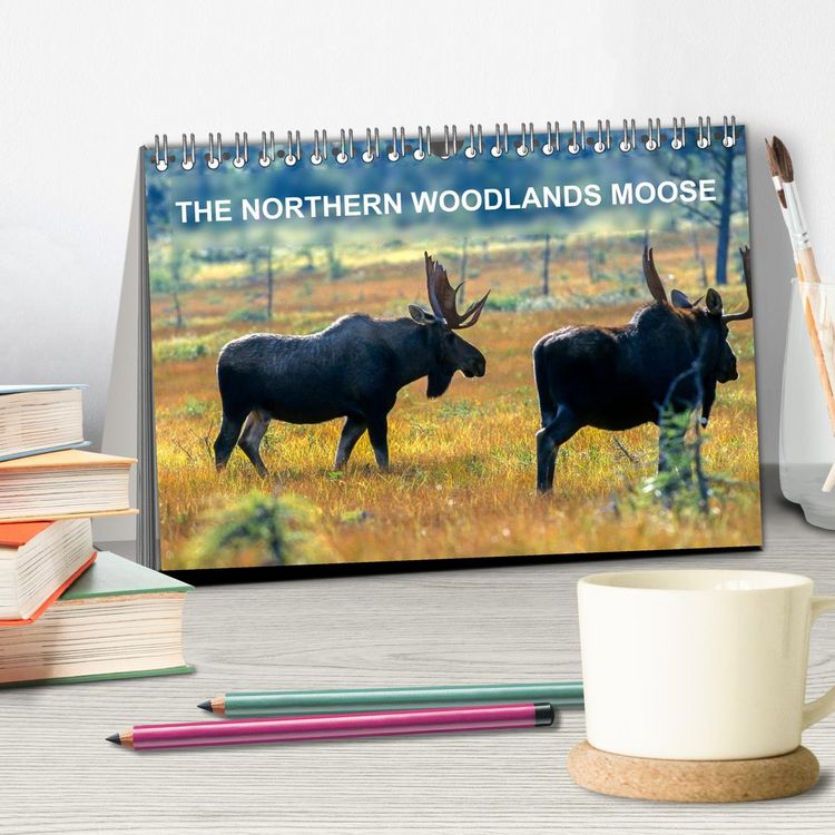 Produktbild: THE NORTHERN WOODLANDS MOOSE (Desk Calendar 2026 DIN A5 landscape), CALVENDO 12 Month DeskCalendar