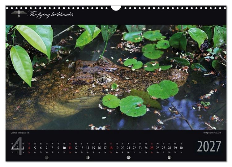 Produktbild: Costa Rica Blickwinkel 2027 (Wandkalender 2027 DIN A3 quer), CALVENDO Monatskalender