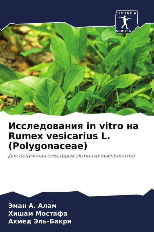 Produktbild: Issledowaniq in vitro na Rumex vesicarius L. (Polygonaceae)