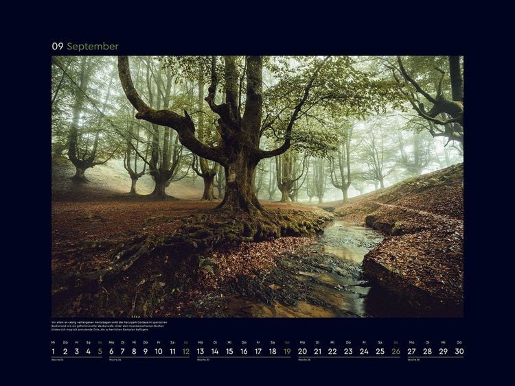 Produktbild: Magische W&auml;lder der Erde - KUNTH Wandkalender 2027