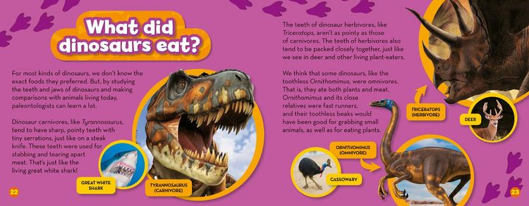 Produktbild: You Can Be a Paleontologist!
