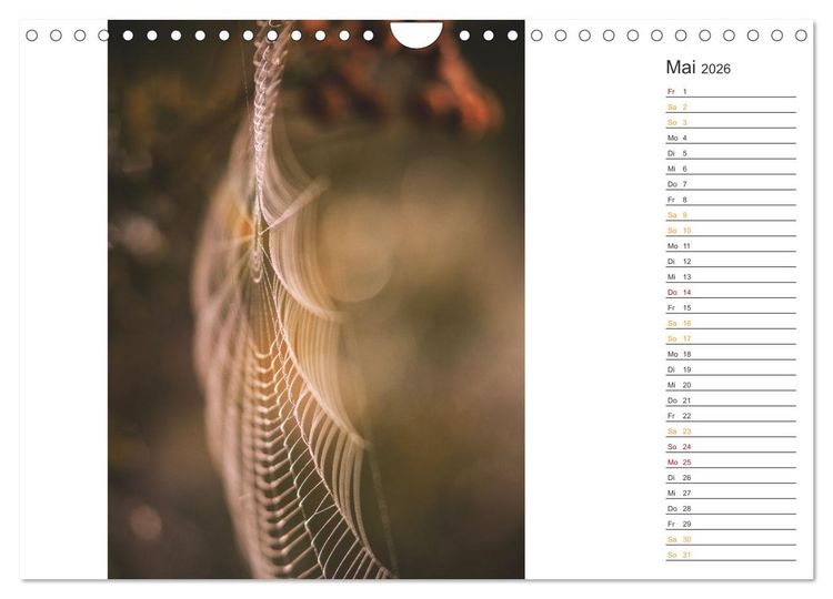 Produktbild: Kleine Wunder vor der Haust&uuml;r (Wandkalender 2026 DIN A4 quer), CALVENDO Monatskalender