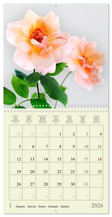 Produktbild: Petites fleurs color&eacute;es (Calendrier mural carr&eacute; 2026 30x30 cm) Calendrier double avec une page pour vos prises de notes