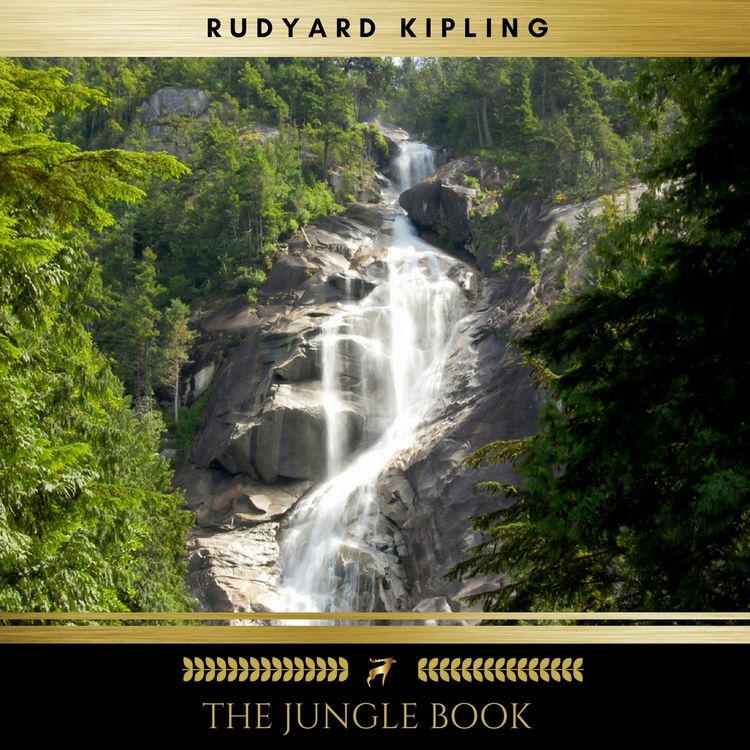 Produktbild: The Jungle Book