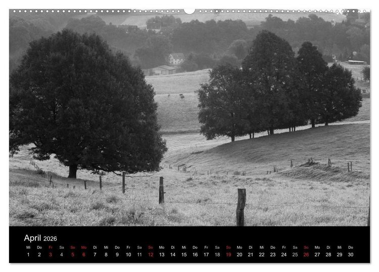Produktbild: B&auml;ume trees 2026 (Wandkalender 2026 DIN A2 quer), CALVENDO Monatskalender