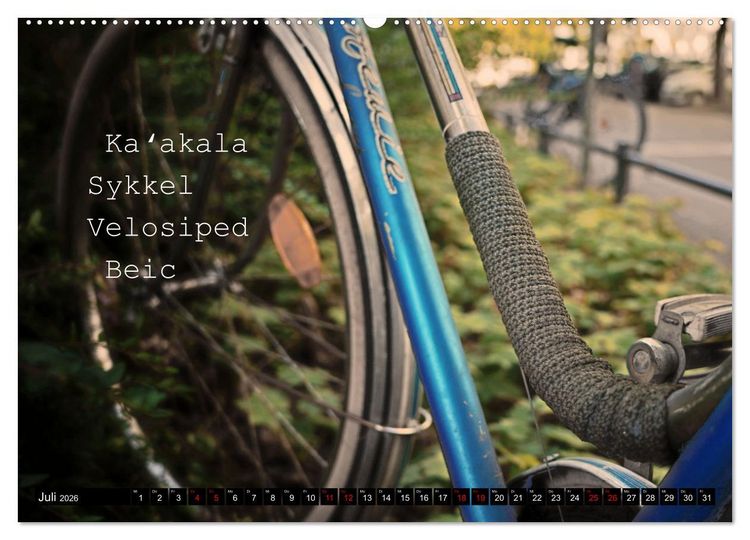 Produktbild: Weltfahrrad (Wandkalender 2026 DIN A2 quer), CALVENDO Monatskalender