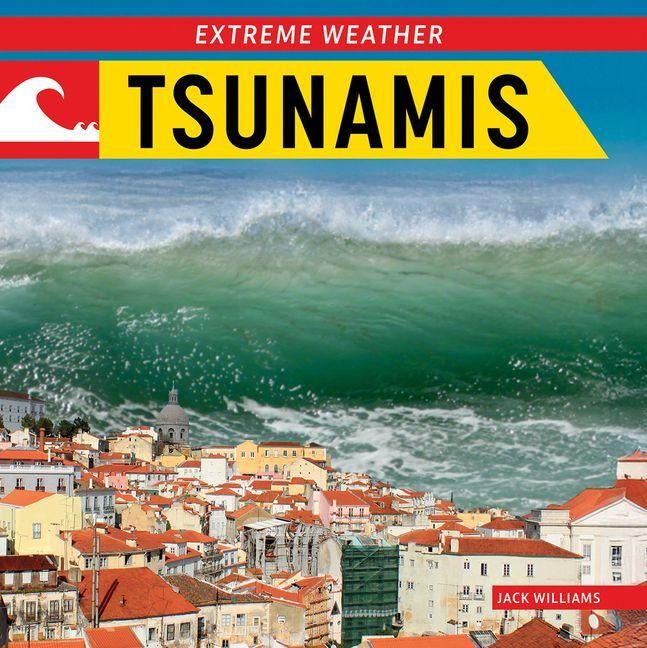 Produktbild: Tsunamis