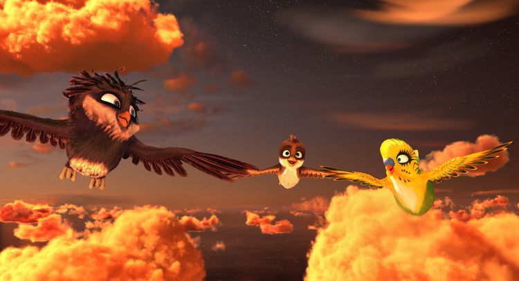 Produktbild: &Uuml;berflieger - Kleine V&ouml;gel, gro&szlig;es Geklapper