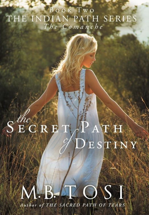 Produktbild: The Secret Path of Destiny