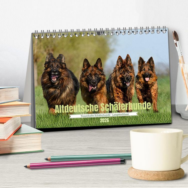 Produktbild: Altdeutsche Sch&auml;ferhunde - Traumhafte Sch&auml;ferhunde Langstockhaar (Tischkalender 2026 DIN A5 quer), CALVENDO Monatskalender