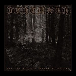 Produktbild: And the Forests Dream Eternally