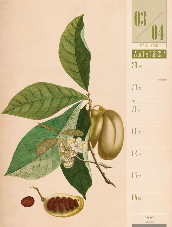 Produktbild: Culinarium Wochenplaner Kalender 2027 | K&uuml;che, Kr&auml;uter, Kurioses