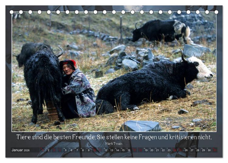 Produktbild: Facettenreiches Tibet (Tischkalender 2026 DIN A5 quer), CALVENDO Monatskalender