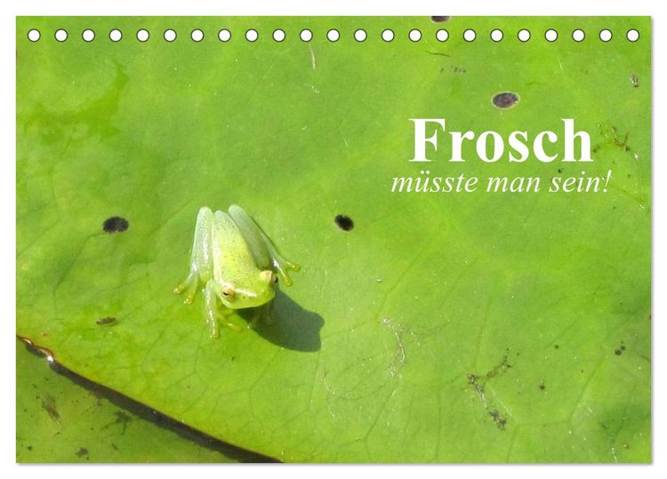 Produktbild: Frosch m&uuml;sste man sein! (Tischkalender 2026 DIN A5 quer), CALVENDO Monatskalender