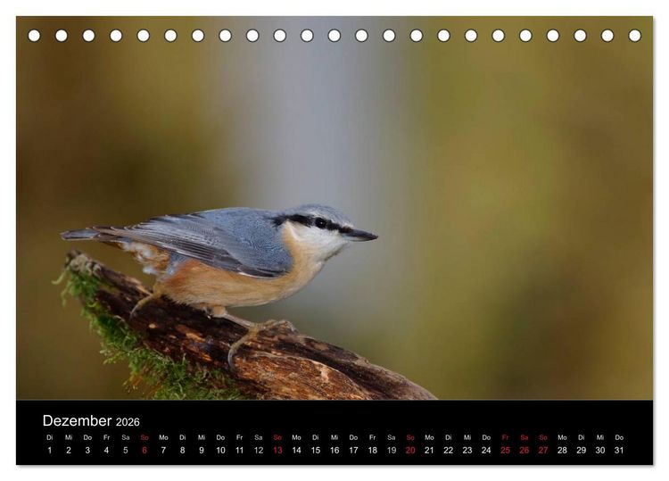 Produktbild: Singv&ouml;gel in Deutschland (Tischkalender 2026 DIN A5 quer), CALVENDO Monatskalender