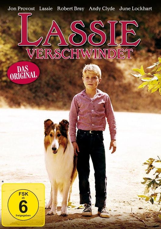 Produktbild: Lassie verschwindet