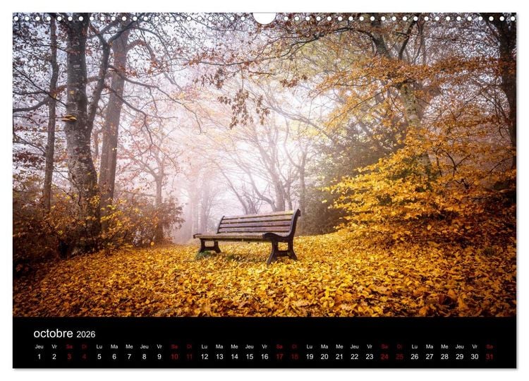 Produktbild: Lumi&egrave;res de Broc&eacute;liande (Calendrier mural 2026 DIN A3 vertical), CALVENDO calendrier mensuel