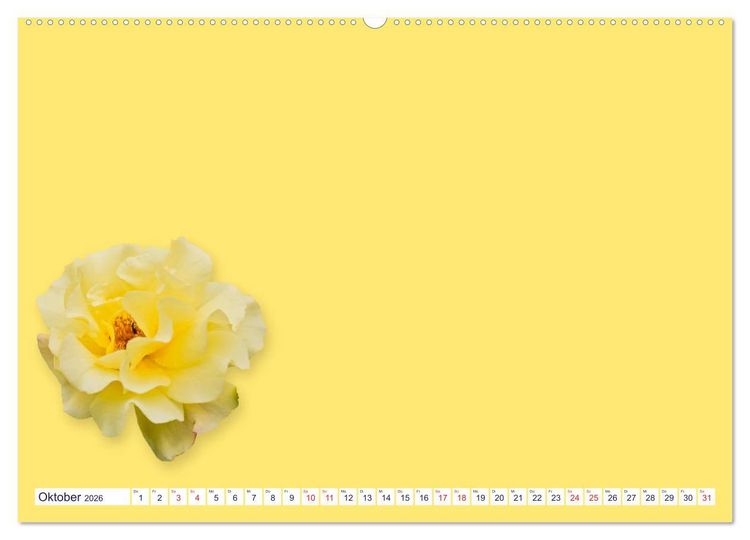 Produktbild: DIY POESIE - BASTELKALENDER (Wandkalender 2026 DIN A2 quer), CALVENDO Monatskalender