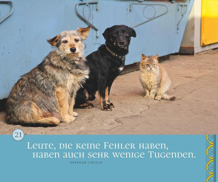 Produktbild: Der Jakobsweg f&uuml;r zu Hause