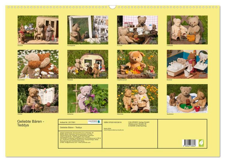 Produktbild: Geliebte B&auml;ren - Teddys (Wandkalender 2026 DIN A2 quer), CALVENDO Monatskalender